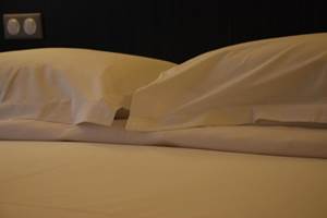 Hotel Ruthenium
