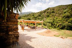 Pergola dans jardin