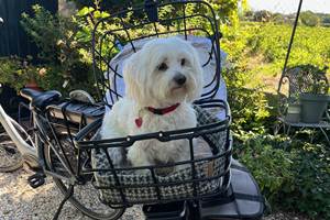 Gîte Le Couchant - Accueil Vélo