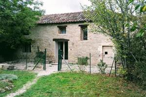 image (3)