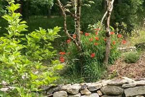 Mur en pierres du jardin