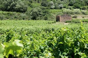 portfolio-paysage-01