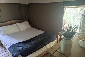 Lit double Lodge Pagel