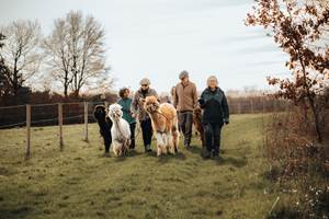 Balade en famille dans le Loir-et-Cher
