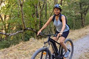 Option Hirondelle