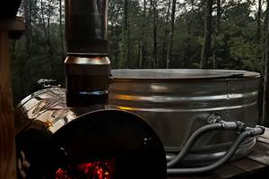 CABANE_FORET_ARBRE_BEARN_BASQUE_64 (6)