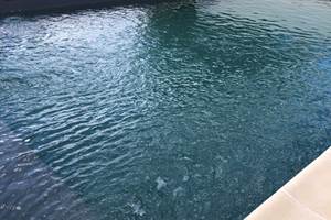 IMG_3265[1]
