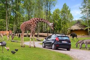 Belle journée à passer au Monde Sauvage d'Aywaille