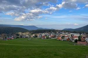 thumbnail_IMG_8608