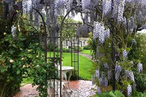 glycine