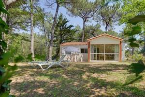 hl-26965634645