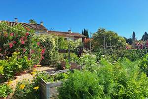 jardin en permaculture