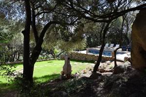 hebergement-casa-laetitia-corse-sud-auberge-usirenu8