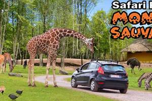 Visite du Monde Sauvage revu par son nouveau propriétaire