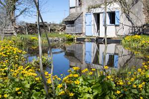 etang-fleurs-maison-hotes-aveyron