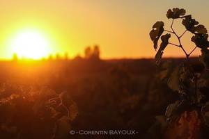 Maison de Jean située en plein cœur du Château Haut Bourcier