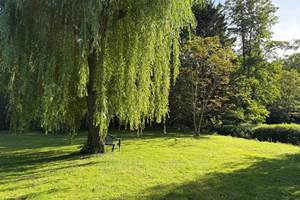 Jardin banc