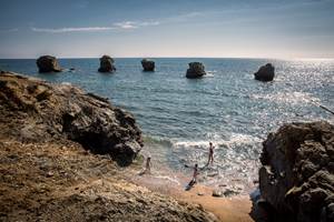 5 pineaux au Gite du Petit Poucet