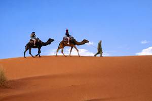 Promenade dans les dunes