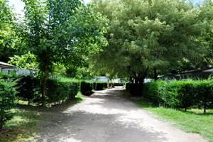 Bourgnatelle_bretenoux (35)