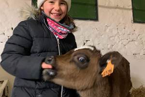 animaux de la ferme