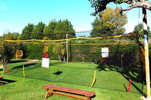 Homeball1-web