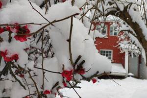 Pays Basque, Pyrénées, Soule, Kakouetta, La Verna, Sainte Engrâce, la Pierre St Martin