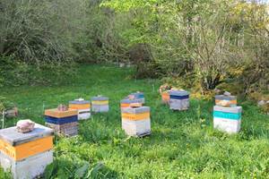 Pays Basque, Pyrénées, Soule, Kakouetta, La Verna, Sainte Engrâce, la Pierre St Martin