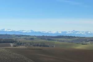 IMG_2585
