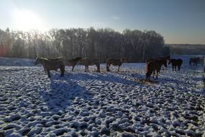 IMG-20210124-WA0020