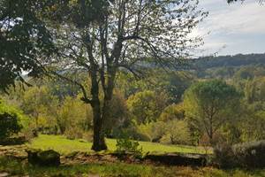 Gîte n°19G2062 "Hautefort" – COLLONGES LA ROUGE
