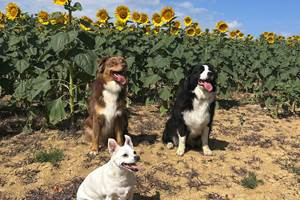 photo_2 - 2025-11-02T194839.331