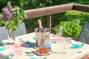 16-terrasse-champagne-fraises-gite-lecureuil-namur-wepion.jpg