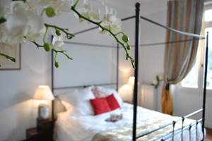 baldaquin orchidéeDSC_5000