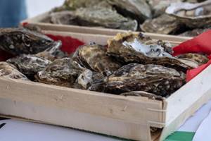 huitres grolleau lis maison garesché