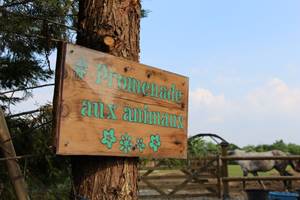 gite_de_groupe_sarthe_campagne_ballade_animaux_hameau_des_deux_ailes