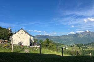 IMG_2731