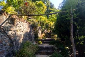 Le Jardin