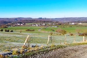 Toute la région est arborée