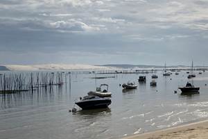 bassin-d-arcachon (21)