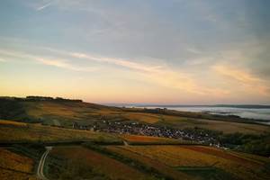 74182492_2461022197552450_8583267101949558784_n