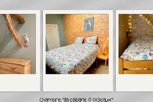 Chambre La cabane ô oiseaux- La demoiselle ô bois (3)