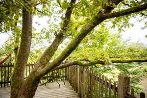 Baudet_d_Ane_Portes_Ouvertes (74)