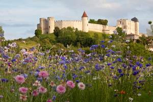 Chateau-de-Villebois-Lavalette