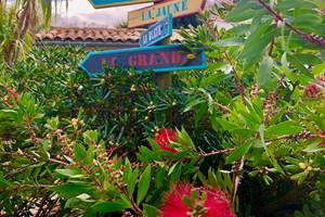 les-pancartes-du-jardin