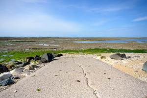 Camp-PGrignon_20