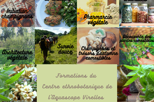 Centre ethobotanique (2)