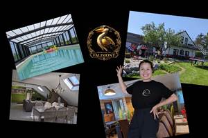 header-elloha-domaine-de-falimont-1800-x-1200-px