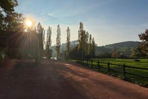 Terrain de boules et abri