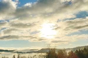 IMG_20240322_081009
